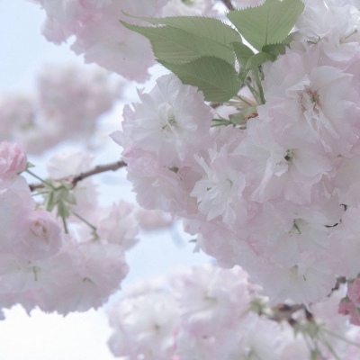 兽设山谷场景设计福瑞群